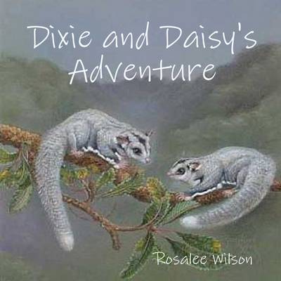 Book cover for Dixie and Daisy's Adventure