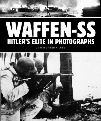 Book cover for Waffen-SS: Hitler's Elite in Photographs