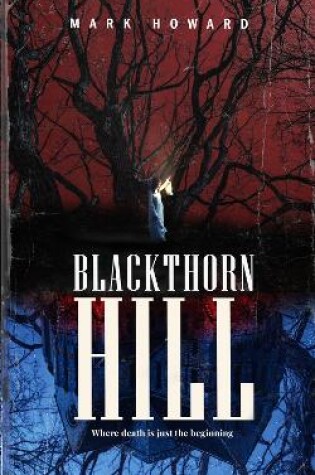 Cover of Blackthorn Hill