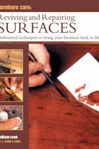 Cover of Reviving and Repairing Surfaces