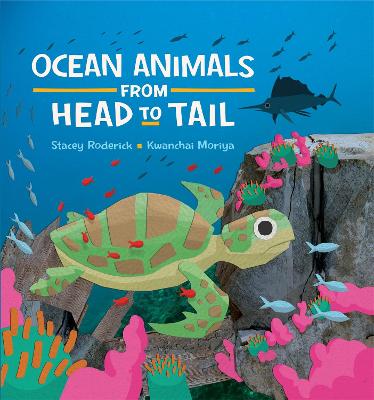 Book cover for Ocean Animals from Head to Tail