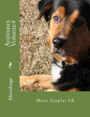 Book cover for Animaux Volume4