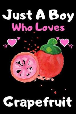 Book cover for Just a boy who loves grapefruit