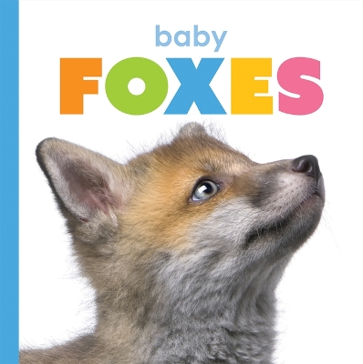 Cover of Baby Foxes