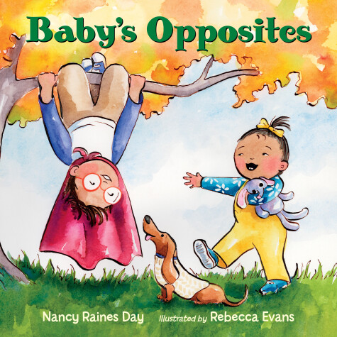 Book cover for Baby's Opposites