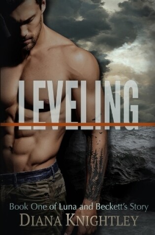 Cover of Leveling