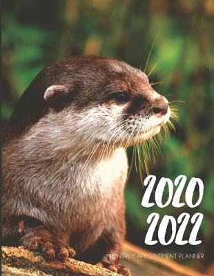 Book cover for 2020-2022 Three 3 Year Planner Sea Otters Monthly Calendar Gratitude Agenda Schedule Organizer