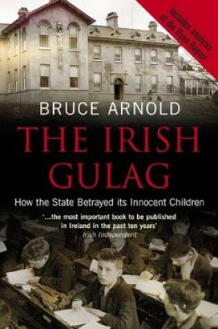 Cover of The Irish Gulag