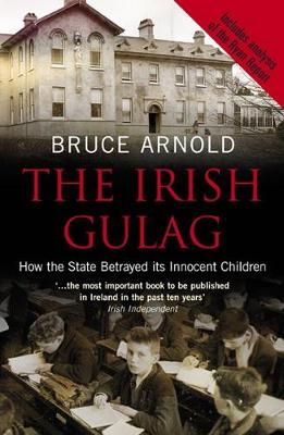 Book cover for The Irish Gulag