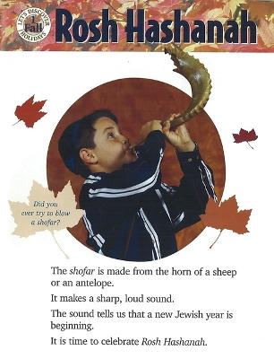 Book cover for Let's Discover the Fall Holidays