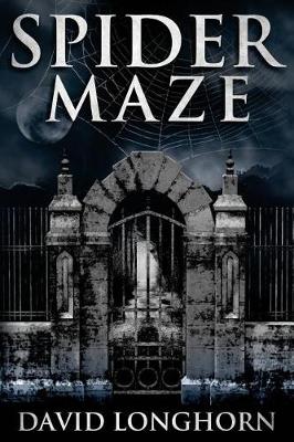 Book cover for Spider Maze