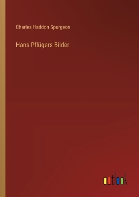 Book cover for Hans Pfl�gers Bilder