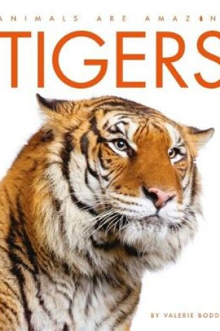 Cover of Tigers