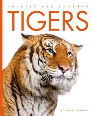 Book cover for Tigers