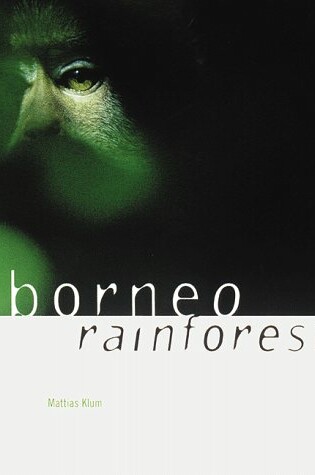 Cover of Borneo Rainforest