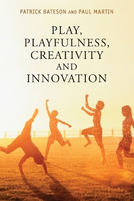 Book cover for Play, Playfulness, Creativity and Innovation