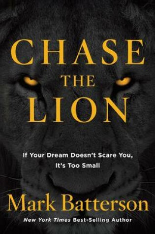 Cover of Chase the Lion
