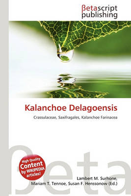 Book cover for Kalanchoe Delagoensis