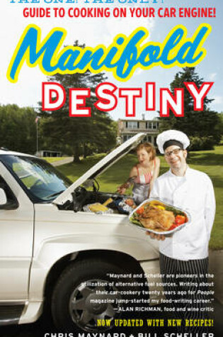 Cover of Manifold Destiny