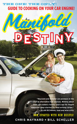 Book cover for Manifold Destiny