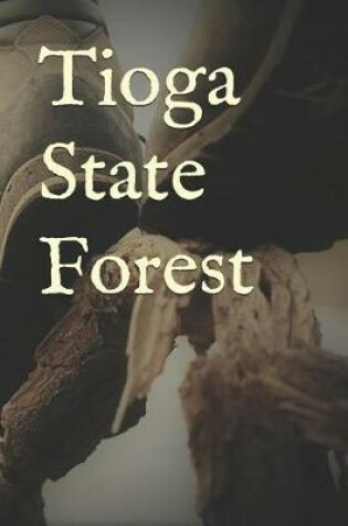 Cover of Tioga State Forest