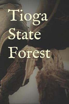 Book cover for Tioga State Forest