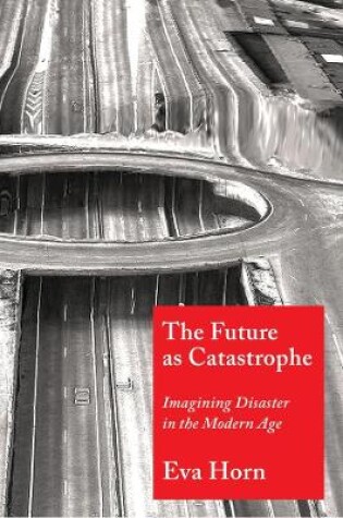 Cover of The Future as Catastrophe