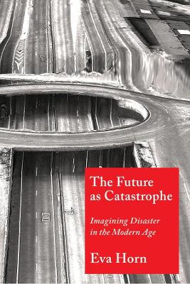 Book cover for The Future as Catastrophe