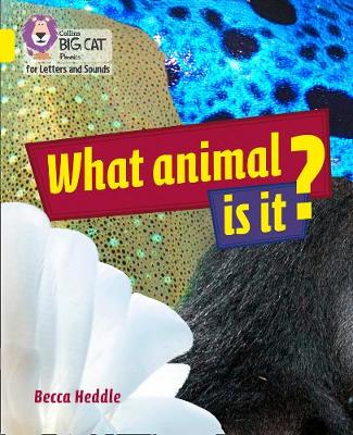 Cover of What Animal is It?