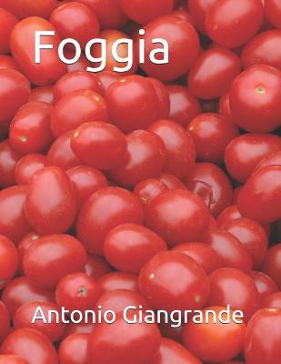 Book cover for Foggia