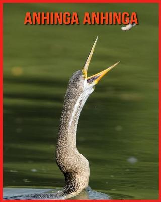 Book cover for Anhinga anhinga