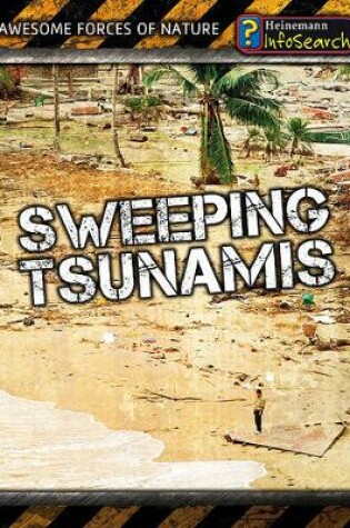 Cover of Sweeping Tsunamis