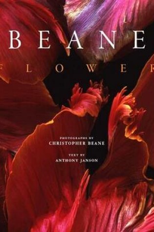 Cover of Flower: Christopher Beane