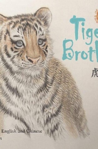 Cover of Tiger Brother