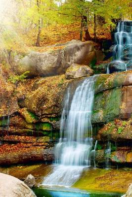 Book cover for A Beautiful Waterfall in the Woods of Virginia