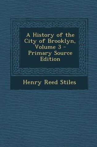Cover of A History of the City of Brooklyn, Volume 3