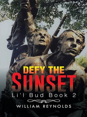 Book cover for Defy the Sunset
