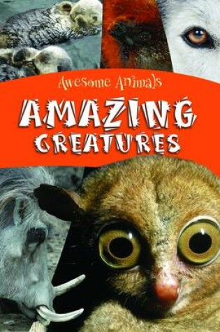 Cover of Amazing Creatures