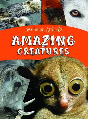 Book cover for Amazing Creatures