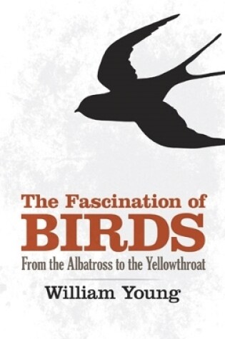 Cover of The Fascination of Birds