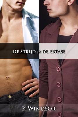 Book cover for de Strijd & de Extase