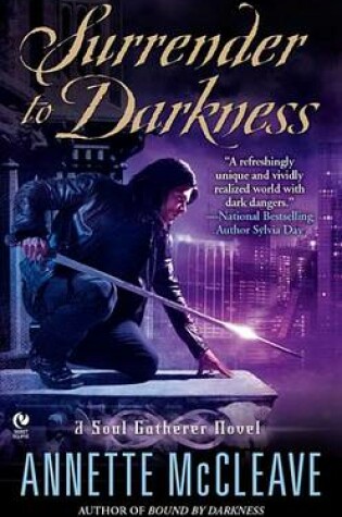 Cover of Surrender to Darkness