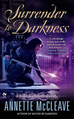 Book cover for Surrender to Darkness