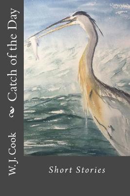 Book cover for Catch of the Day