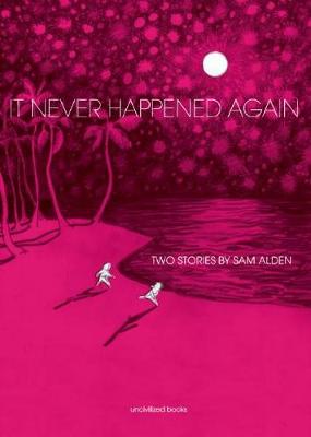 Book cover for It Never Happened Again