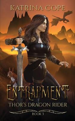 Book cover for Entrapment