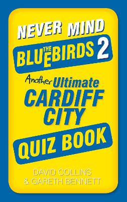 Book cover for Never Mind the Bluebirds 2