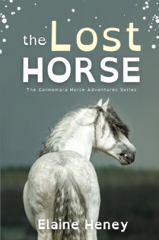 Cover of The Lost Horse - Dyslexia Friendly