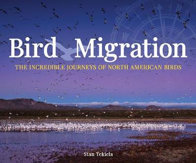Book cover for Bird Migration