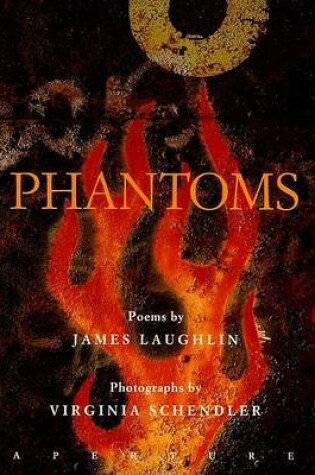 Cover of Phantoms